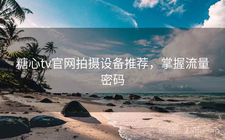 糖心tv官网拍摄设备推荐，掌握流量密码