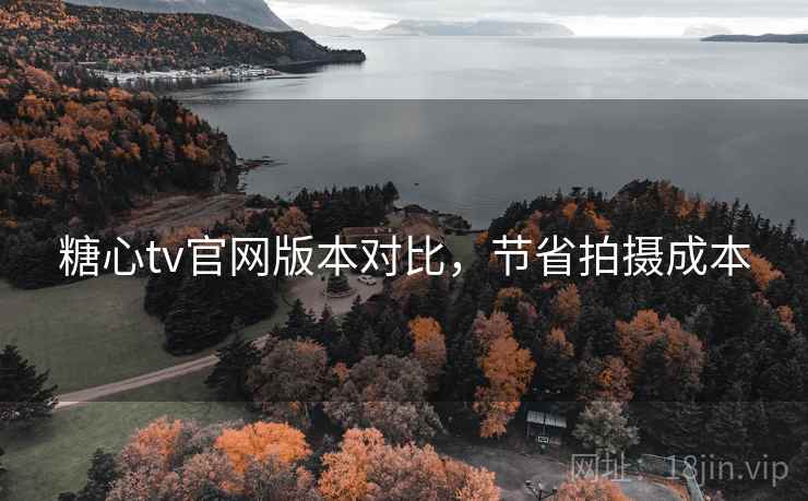 糖心tv官网版本对比，节省拍摄成本