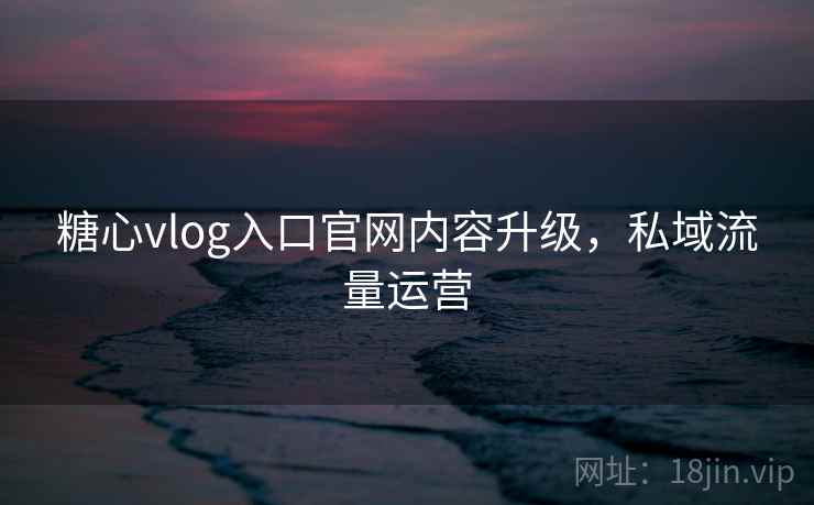 糖心vlog入口官网内容升级，私域流量运营